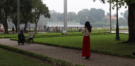 Hoa có chùm dài có màu trắng đẹp hiền hòa, hoa nở thành chùm ngay khi những lộc cây vừa nhú