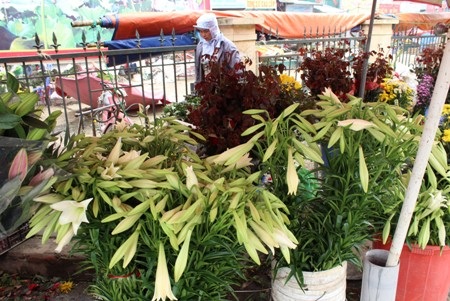 Chỉ ở Hà Nội mới có những gánh hàng hoa trần gian như thế 