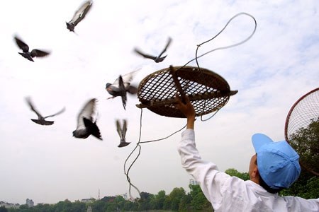 Sẽ có sự tích Lang Liêu tại Hà Nội - 1 Sẽ có sự tích Lang Liêu tại Hà Nội