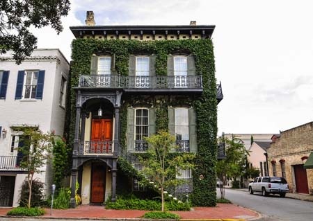 “Mát mắt” trước những “ngôi nhà cây” độc đáo - 3 Một căn hộ thuộc Vịnh Half Moon, California - Mỹ được bao bọc bởi những dây hoa mướt mắt