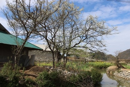 Trải nghiệm cuộc sống người Dao nơi cuối trời Tây Bắc