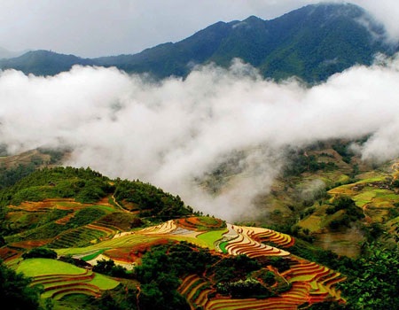 Những thành phố bạt ngàn mây phủ