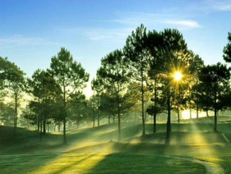 Thanh minh trong tiết tháng ba - 1 Tiết thanh minh cũng là thời khắc để những loài hoa đồng nội có dịp khoe hương sắc