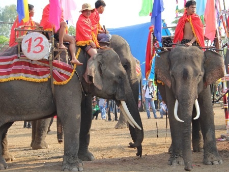 Chào giao hữu trước giờ đấu