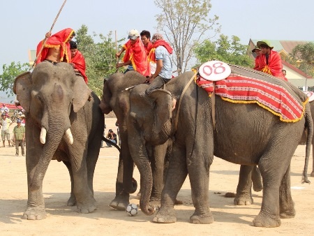 Chuẩn bị ghi bàn