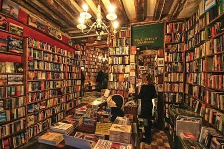 "Ngợp" trước những hiệu sách hoành tráng nhất hành tinh - 4 Hiệu sách Cook & Book, Brussels, Bỉ là sự kết hợp đầy mê hoặc của kỳ quái và chút gì đó rờn rợn
