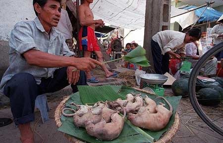Chuột đồng Việt Nam vào danh sách những món ăn kỳ lạ nhất thế giới - 4 Chuột đồng Việt Nam vào danh sách những món ăn kỳ lạ nhất thế giới