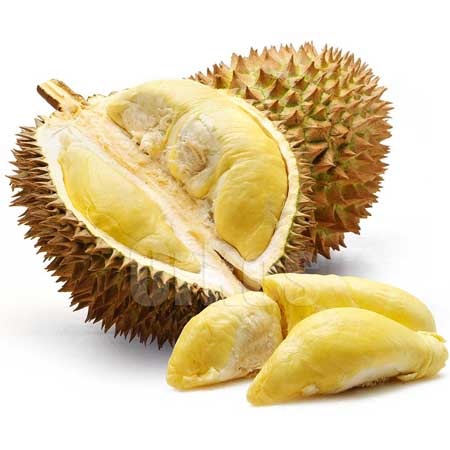 Chuột đồng Việt Nam vào danh sách những món ăn kỳ lạ nhất thế giới - 5 Chuột đồng Việt Nam vào danh sách những món ăn kỳ lạ nhất thế giới
