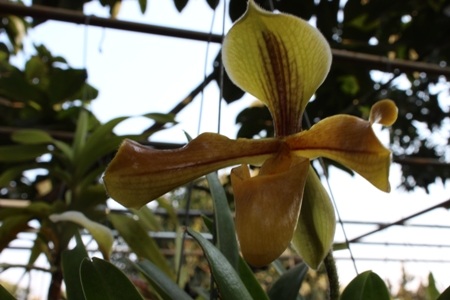 Cả một vùng đất trời núi non tháng Tư này được bao phủ bởi màu xanh của cây lá cỏ hoa