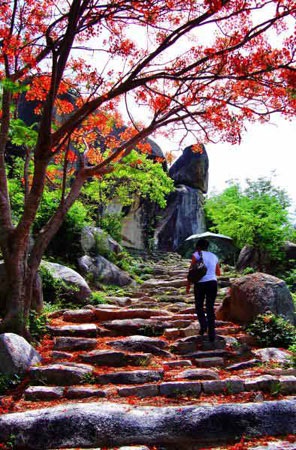 Những ngôi chùa nổi tiếng linh thiêng ở Bình Định - 2 Những ngôi chùa nổi tiếng linh thiêng ở Bình Định