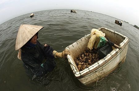 Ngỡ ngàng phá Tam Giang - 2 Ngỡ ngàng phá Tam Giang