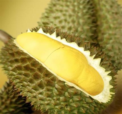 Bốn món ăn “bốc mùi” được ưa thích ở Việt Nam - 3 Bốn món ăn “bốc mùi” được ưa thích ở Việt Nam