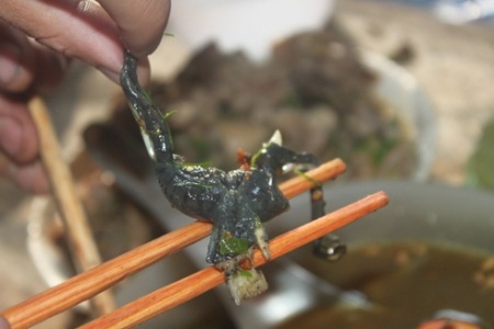 Bốn món ăn “bốc mùi” được ưa thích ở Việt Nam - 1 Bốn món ăn “bốc mùi” được ưa thích ở Việt Nam