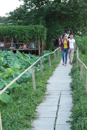 Muốn vào chụp ảnh hoa sen, khách hàng phải trả 20.000 đồng/người.