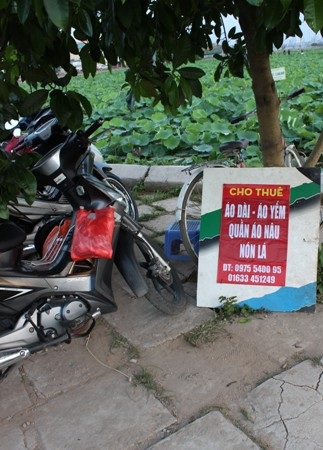 Giới trẻ Hà Thành “phát sốt” với sen Tây Hồ