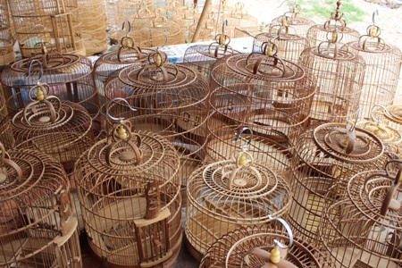 Đủ các loại lồng chim cảnh