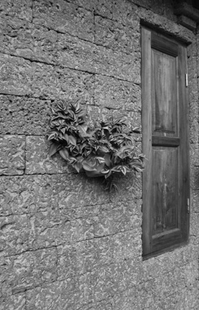 Ở Đường Lâm, từ nhà ở đến cổng ngõ, cổng làng, giếng nước, đều sử dụng đá ong