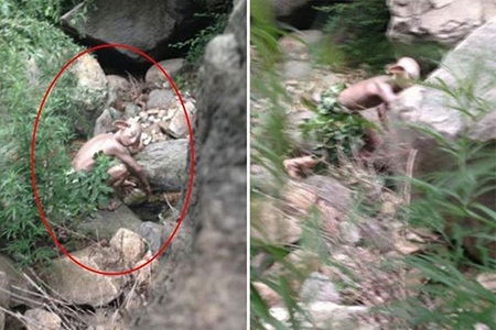 Trung Quốc xôn xao vì ảnh quái vật Gollum gần Trường thành - 1 Trung Quốc xôn xao vì ảnh quái vật Gollum gần Trường thành