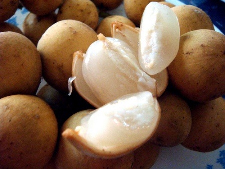 “Trái lạ Loòng boong” thấp thoáng trên phố phường Hà Nội