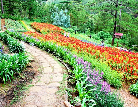 Lạc vào những khu vườn đẹp nhất Đông Nam Á