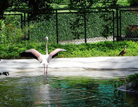 Lạc vào những khu vườn đẹp nhất Đông Nam Á