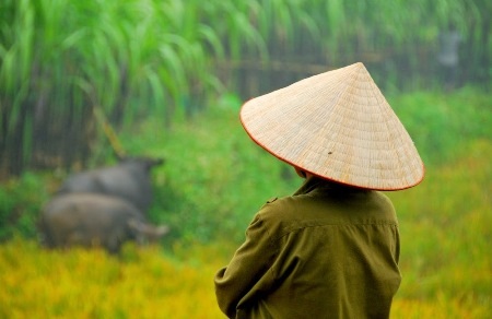 Bản Giang Mỗ ngày càng được nhiều du khách trong nước và nước ngoài biết đến