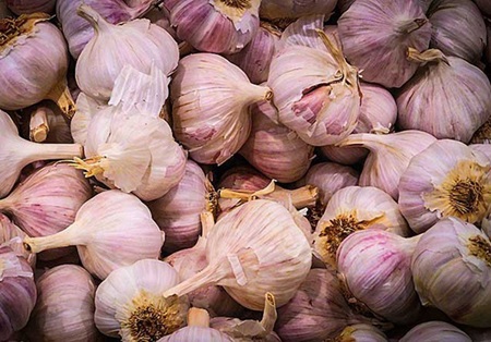 Những cuộc thi ăn lạ lùng nhất thế giới