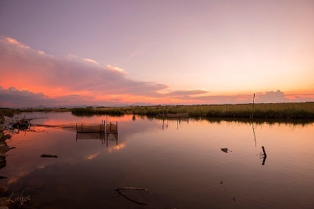 “Kiếp ngựa tù chân” lại nhớ đường… - 1 “Kiếp ngựa tù chân” lại nhớ đường…