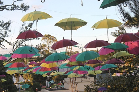 Các chương trình của lễ hội mưa Đà Lạt hầu hết
diễn ra quanh bờ hồ Xuân Hương thơ mộng.