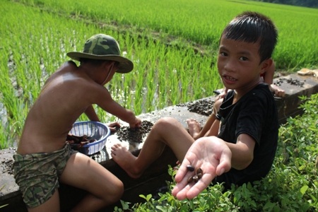 Mai Châu đẹp thuần khiết, mộc mạc