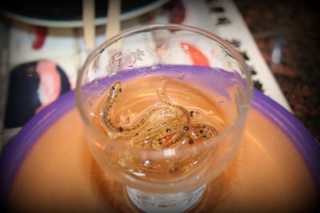 Ba món ăn ngon nhưng ít người dám thử ở xứ hoa anh đào