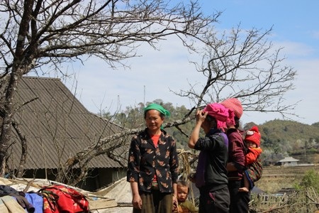 Nhớ lắm những buổi chào cờ đầu tuần của những cậu bé trên đảo Cô Tô.