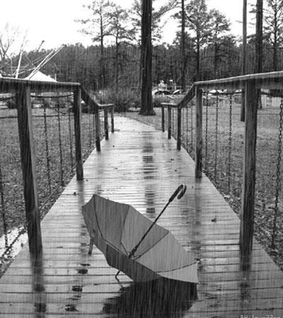 Đi trong mùa mưa ngâu - 1 Mưa mang những giọt nước trong veo cho cây cối xanh mướt, đầy sức sống.