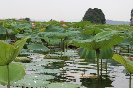 Du ngoạn Vân Long trước ngày bão đổ