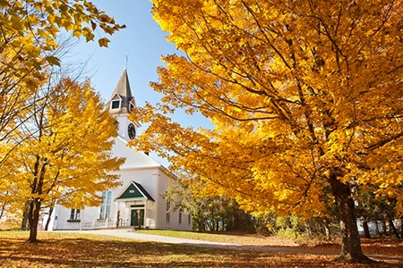  Các thiếu nữ Nhật diện trang phục truyền thống ngắm cảnh lá phong đỏ mùa thu