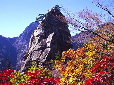Núi Seoraksan đủ sắc màu vào thu