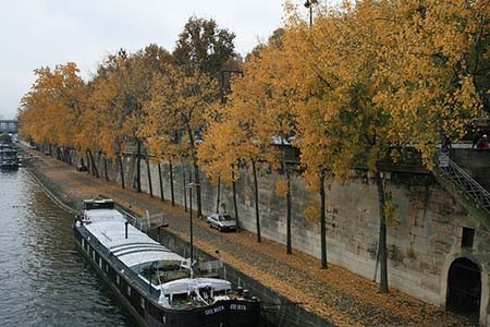 Sông Seine đẹp và lãng mạn vào thu