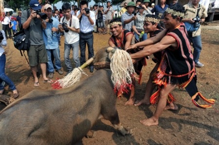 Hai lễ hội ở Việt Nam khiến du khách Tây kinh hãi - 1 Hai lễ hội ở Việt Nam khiến du khách Tây kinh hãi