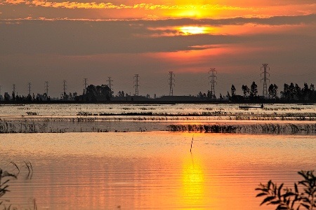 Về miền Tây mùa nước nổi… - 1 Chiều về mùa nước nổi miền Tây như một bức trang đa sắc màu