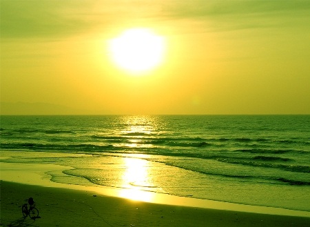 Về quê lúa khám phá cồn biển đẹp nhất xứ Bắc - 2 Về quê lúa khám phá cồn biển đẹp nhất xứ Bắc