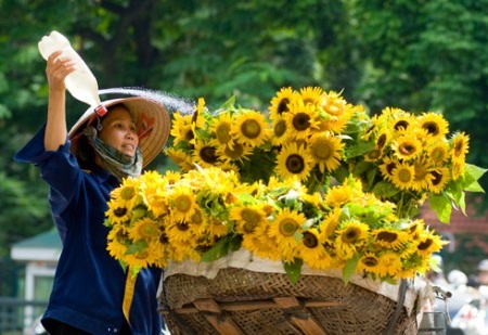 Heo may đã về trên phố… - 2 Heo may đã về trên phố…