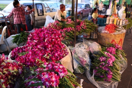 Những khu chợ đêm nổi tiếng nhất thế giới - 3 Chợ Pak Khlong Talat ở Thái Lan