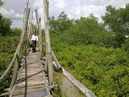 Về quê lúa khám phá cồn biển đẹp nhất xứ Bắc - 3 Về quê lúa khám phá cồn biển đẹp nhất xứ Bắc