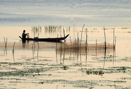 Về miền Tây mùa nước nổi… - 4 Mùa nước nổi đem đến cho con người bao sản vật tự nhiên, bồi thêm cho đất đai lớp phù sa màu mỡ