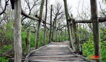 Về quê lúa khám phá cồn biển đẹp nhất xứ Bắc - 4 Về quê lúa khám phá cồn biển đẹp nhất xứ Bắc