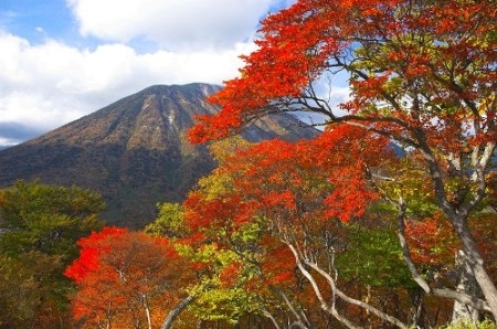 Doanh nghiệp du lịch đua nhau bán tour ngắm thu