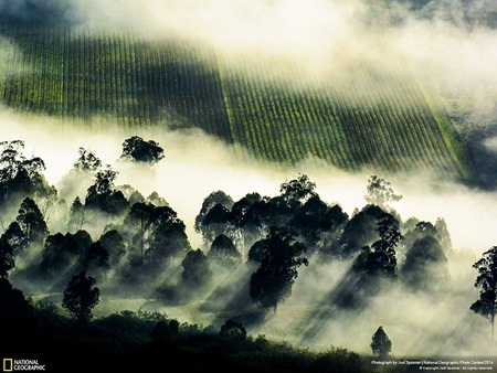 National Geographic công bố những bức hình đẹp nhất 2014 - 9 “Thung lũng mây”. Tác giả: Joel Spooner. Ảnh chụp tại Mansfield, Victoria, Úc