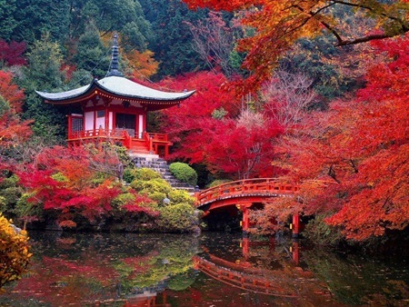 Kyoto là cố đô nhiều đền chùa nổi tiếng.