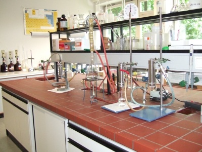Xin đừng lãng phí “nguyên khí của quốc gia”… - 1                     Xin đừng lãng phí “nguyên khí của quốc gia”…