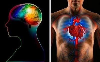 Vài cách phân biệt đột quỵ và cơn đau tim - 1 Vài cách phân biệt đột quỵ và cơn đau tim - 1